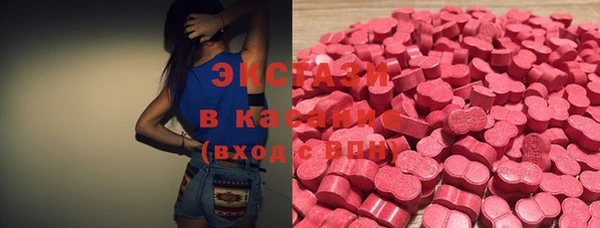 ECSTASY Богданович