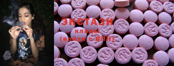 ECSTASY Богданович